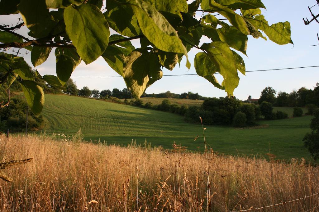 Domaine De Romefort Saint-Léonard-de-Noblat Habitación foto